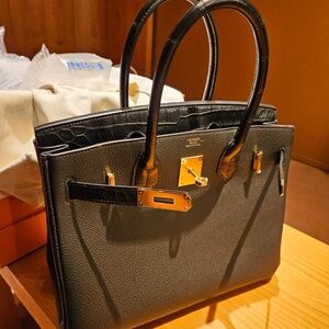 Togo Matte Alligator Touch Birkin 30 Black